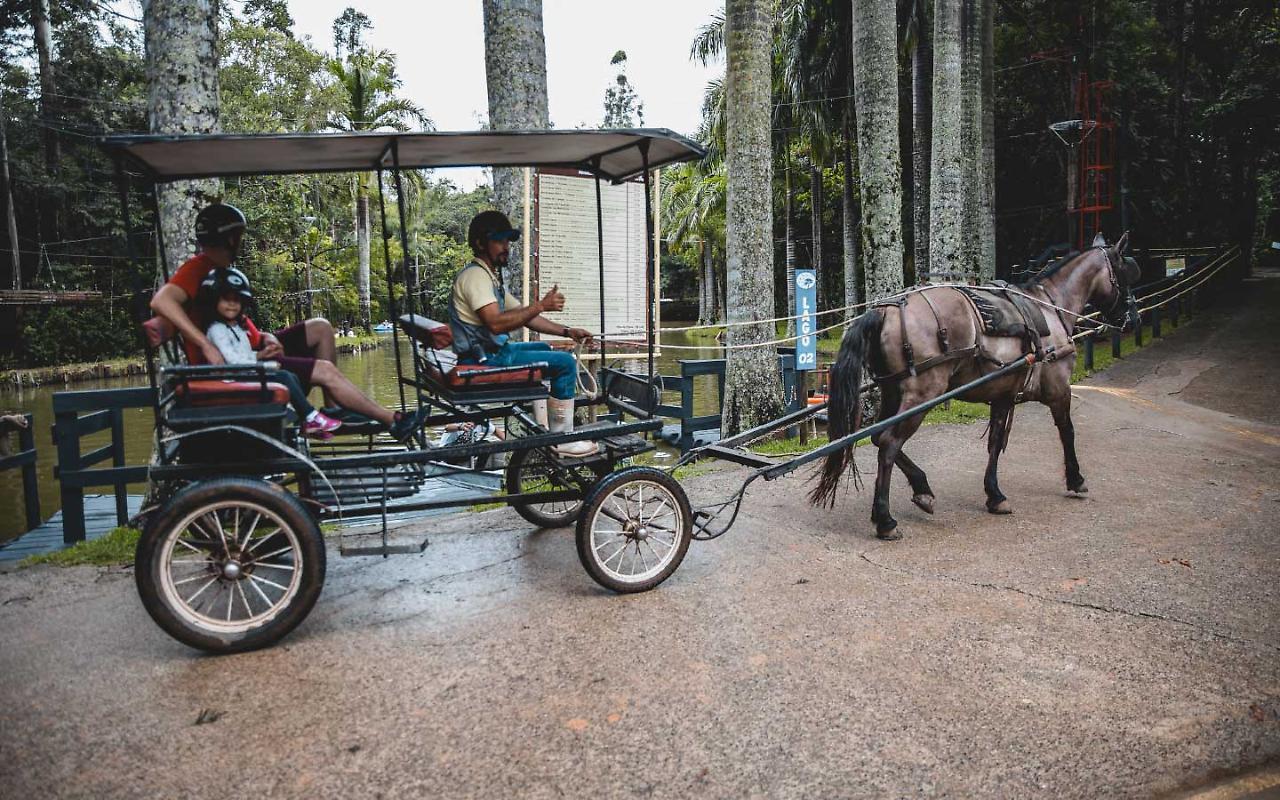 Hotel Fazenda Campo Dos Sonhos 2*