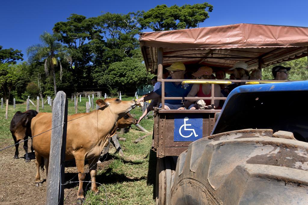 Fazenda Campo Dos Sonhos Hotel